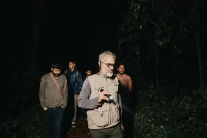 Image of Bioluminescence Walk