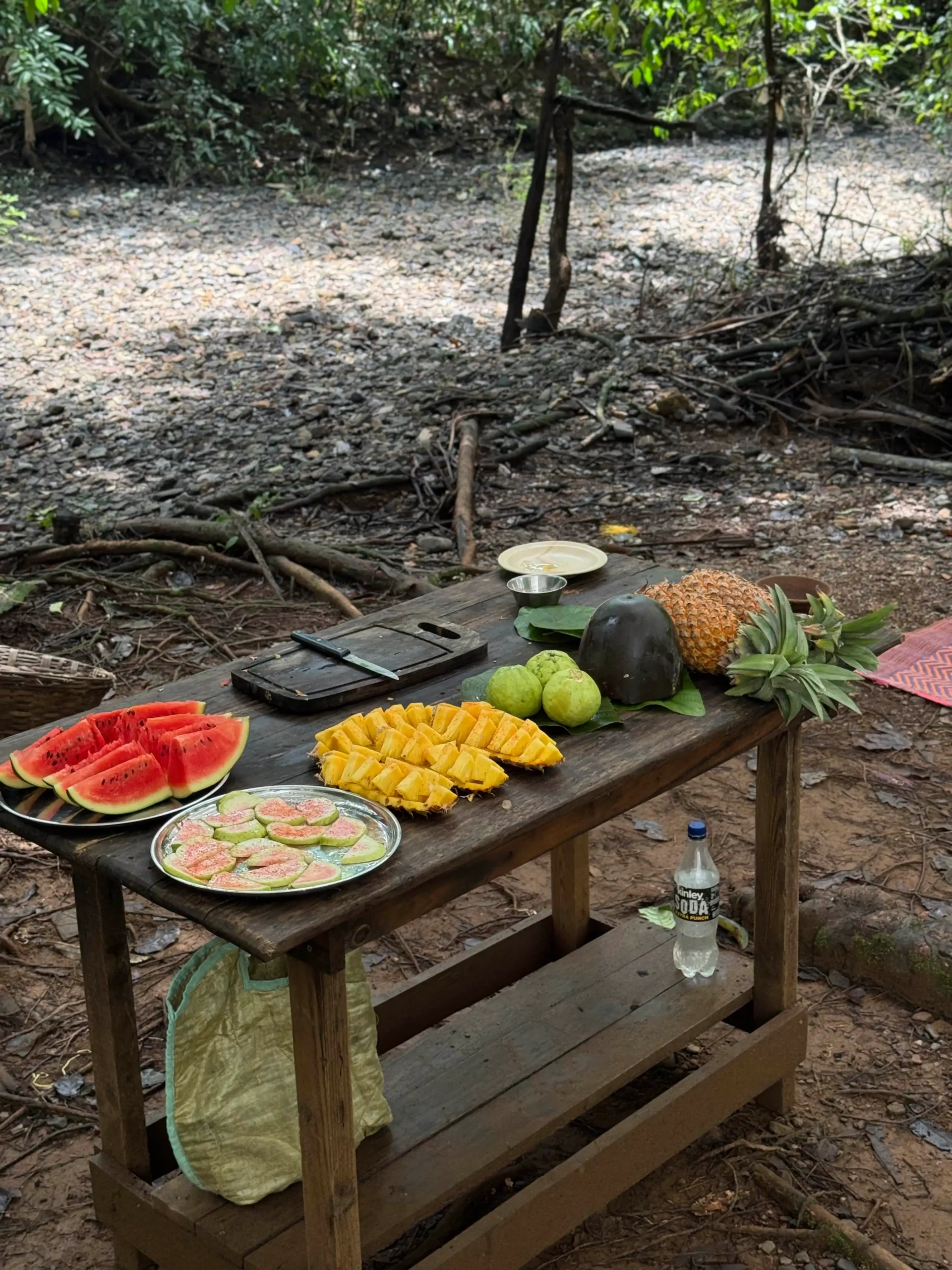Image of Picnic at Folgar