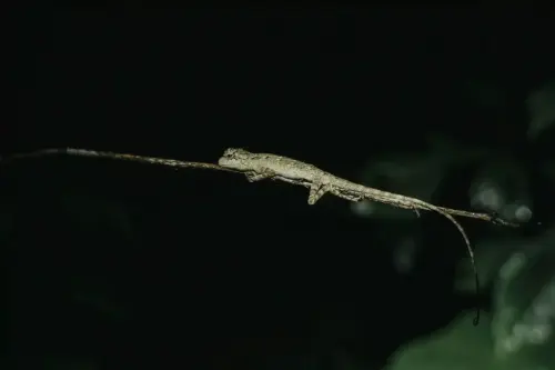 Glimpses of World Tourism Day 2025