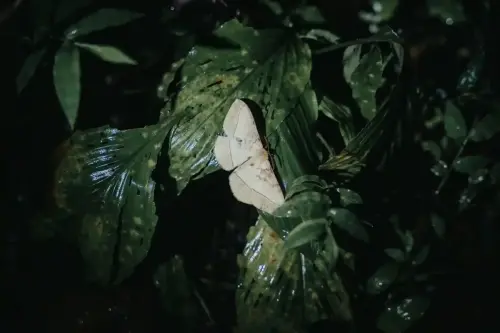 Glimpses of World Tourism Day 2025