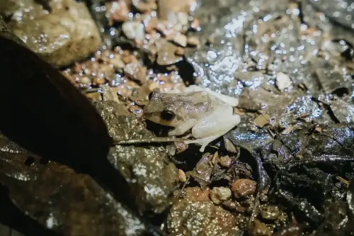 Glimpses of World Tourism Day 2025